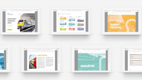 Rapport annuel interactif