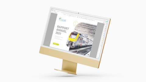 Rapport annuel interactif