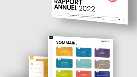 Rapport annuel interactif 2022