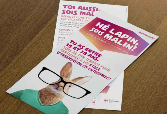 IFAPME - Lapin malin