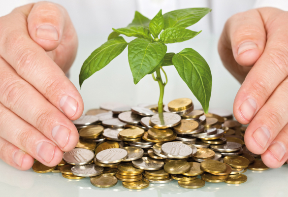 Investsud (Capital & Croissance)
